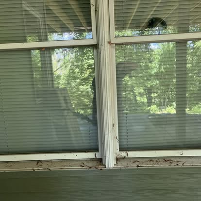 Window cleaning project 8